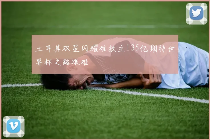 土耳其双星闪耀难救主135亿期待世界杯之路艰难